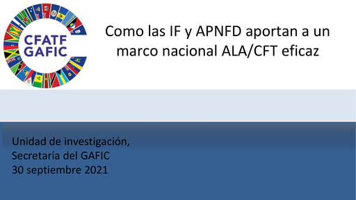 SP How FIs and DNFBPs Contribute to an Effective National AML CFT Framework